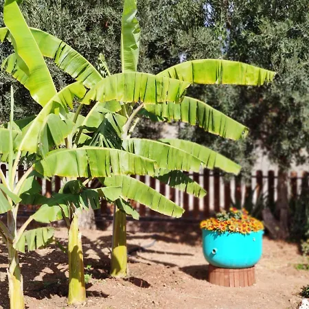 La Casita Del Naranjo Сasa de vacaciones