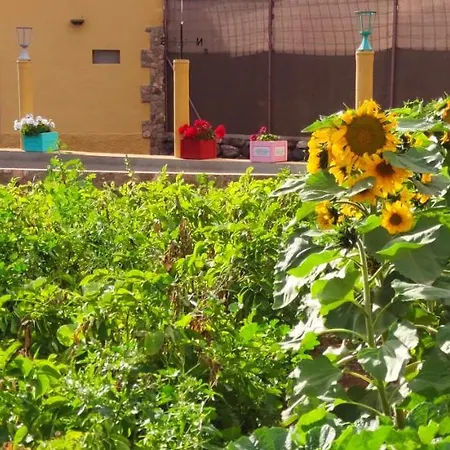 La Casita Del Naranjo Сasa de vacaciones Agüimes