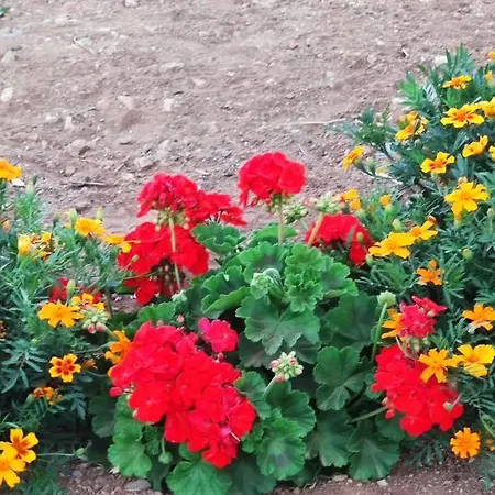 La Casita Del Naranjo Сasa de vacaciones