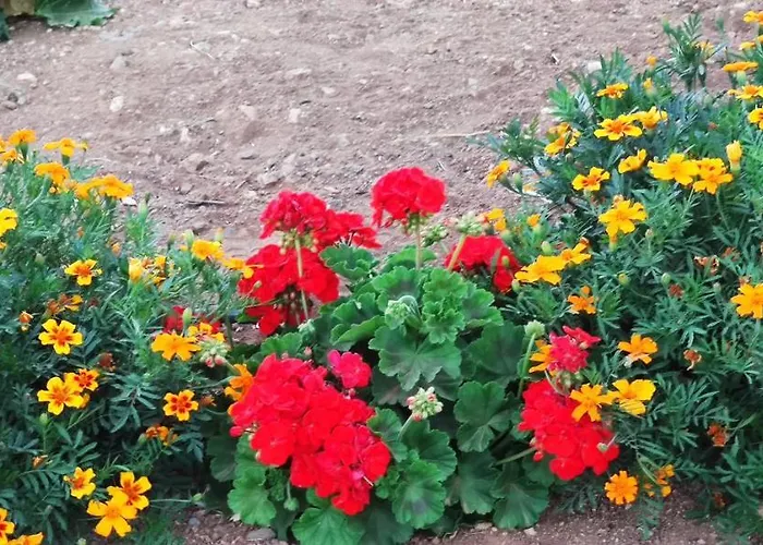 La Casita Del Naranjo Dom wakacyjny